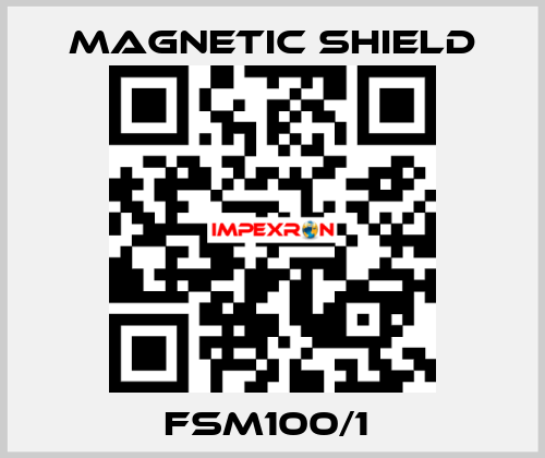 FSM100/1  Magnetic Shield