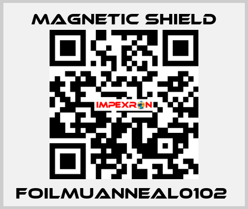 FOILMUANNEAL0102  Magnetic Shield