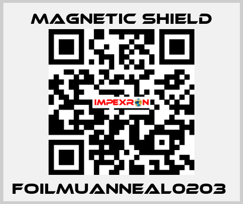 FOILMUANNEAL0203  Magnetic Shield