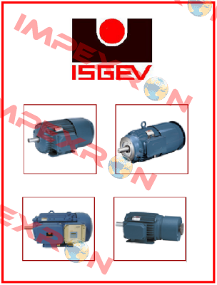 AFTS 100 LA4- cast iron  Isgev