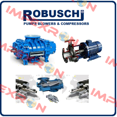 RBS 125  Robuschi