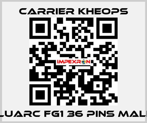 Fluarc FG1 36 Pins Male  Carrier Kheops