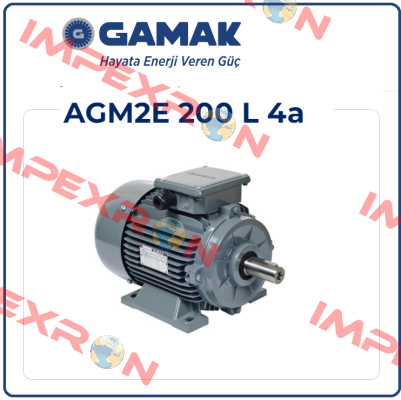 AGM2E 200 L 4 Gamak