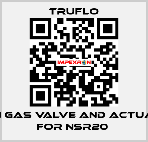 Main Gas Valve and Actuator For NSR20  TRUFLO