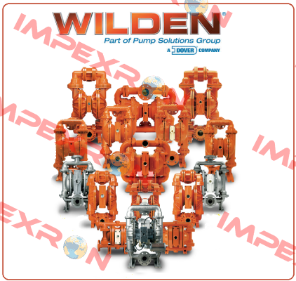 591601  Wilden