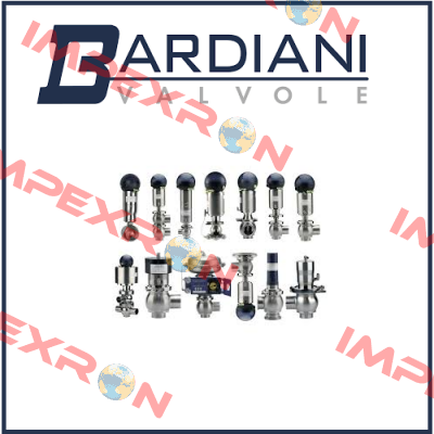 DN 50 ZP THREE-WAY VALVE MAINTENANCE KIT  Bardiani Valvole