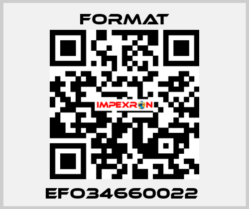 EFO34660022  Format