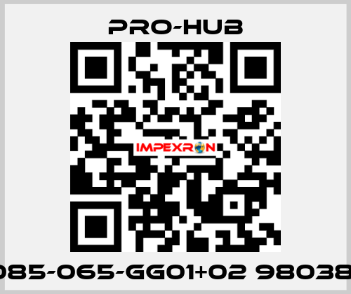 EG-085-065-GG01+02 980387.10  Pro-Hub