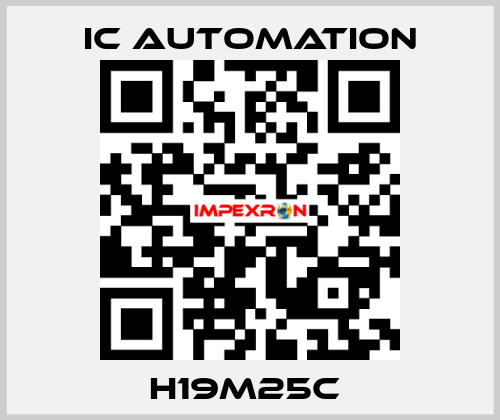 H19M25C  ic automation