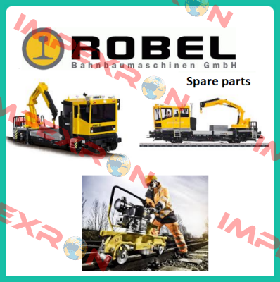 8209900004  Robel