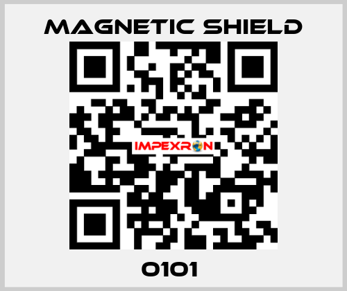 0101  Magnetic Shield