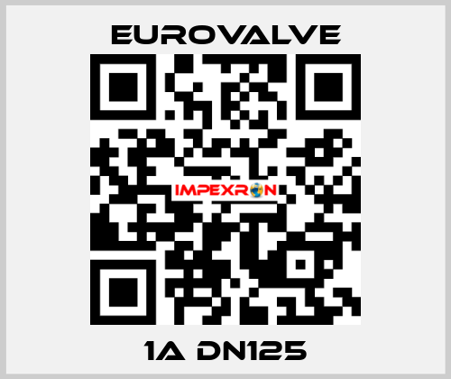 1A DN125 Eurovalve