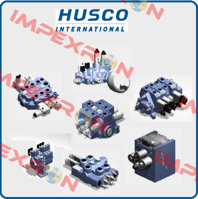 seal kit for  H95G259 Husco