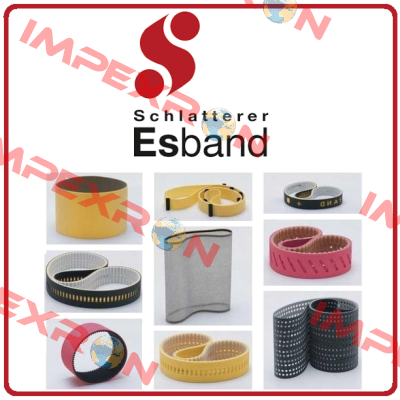 117DR396-1 OEM Esband