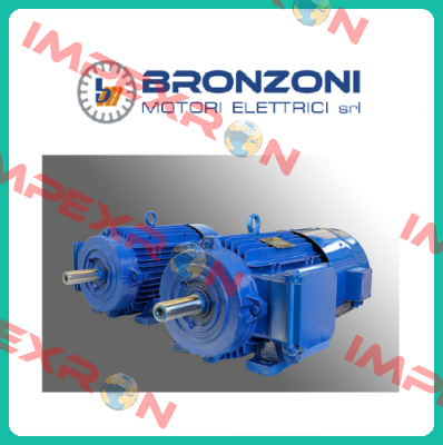 IE3Q1003A1700.0 003 Bronzoni