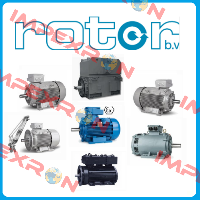 5RN100L04 Rotor