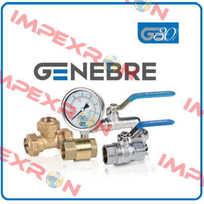 M-H A-316 F.341N 1" NPT Genebre