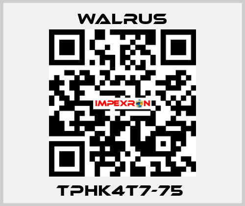 TPHK4T7-75  Walrus