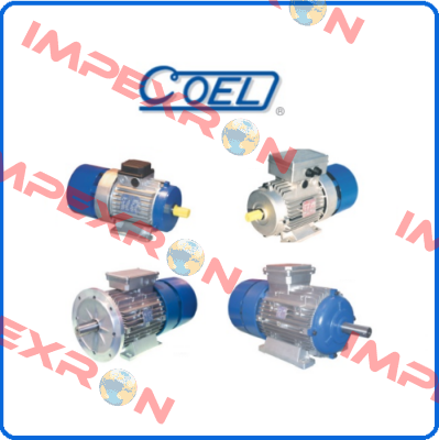 3446 (MOT.MH63C4 B5 KW0.13 V.110/50-60) Coel