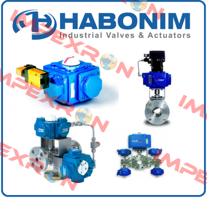 05 FH29W-66MMLHG/BSPP Habonim