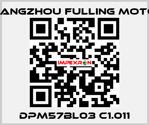 DPM57BL03 C1.011 Changzhou Fulling Motor