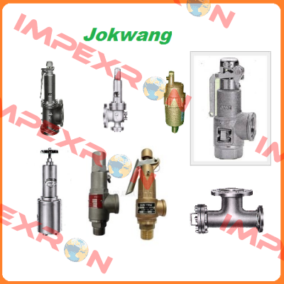 seat/nozzle for model JSV - FF100 (PSV-9201 A/B/C) Jokwang