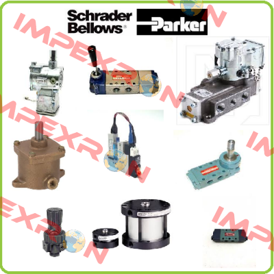 1HPH0A00252621 Schrader Bellows (Parker)