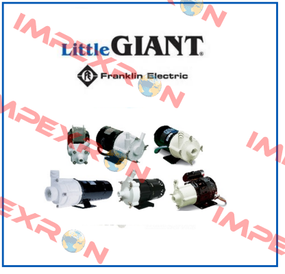 501003 Little Giant