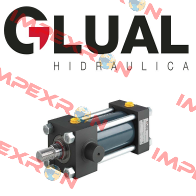 KD-100/70*1500-L001-N-I-1-20 /complete seal kit  Glual Hydraulics