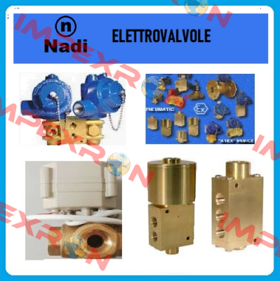 E53T25L1B/24VDC /M20 Nadi