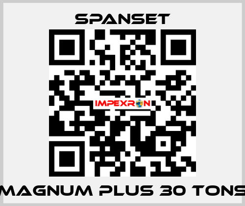 magnum plus 30 tons SpanSet