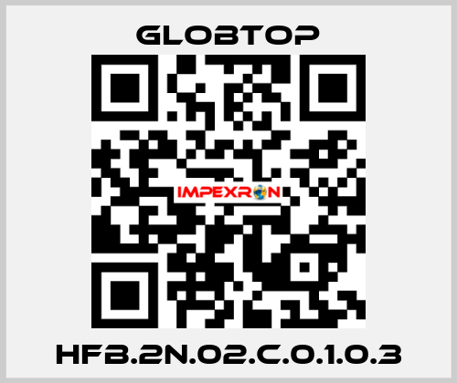 HFB.2N.02.C.0.1.0.3 Globtop