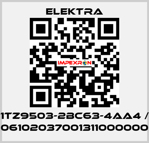 1TZ9503-2BC63-4AA4 / 06102037001311000000 ELEKTRA