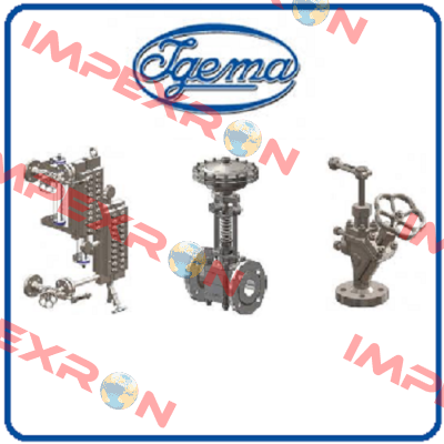 15-13059 Igema