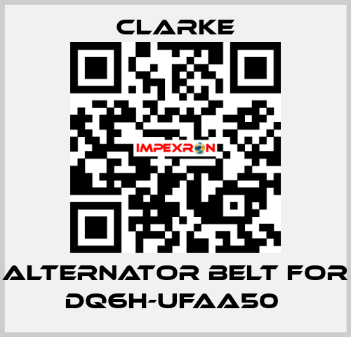 Alternator Belt for DQ6H-UFAA50  Clarke