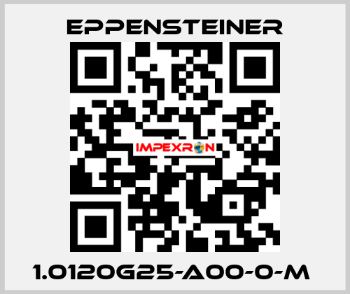 1.0120G25-A00-0-M  Eppensteiner