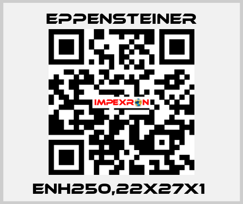 ENH250,22X27X1  Eppensteiner