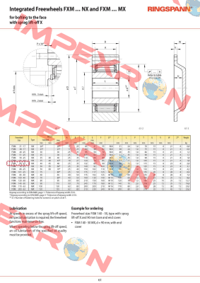 P/N: 4867-066300-040H33, Type: FXM 66-25 NX Ringspann