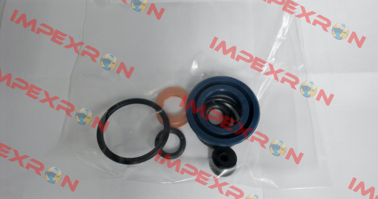 P/N: 10104, Type: Seal kit for V5 GKS-Perfekt